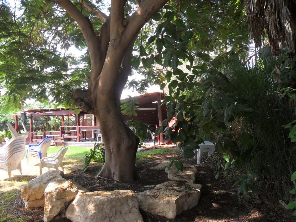 Almog Kibbutz Hotel 외부 사진